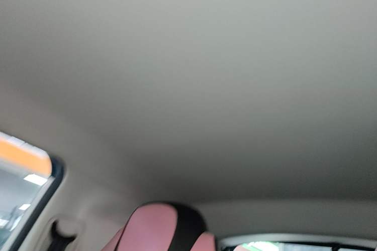Used Roewe Clever 2021 302km Excellence Edition Headliner