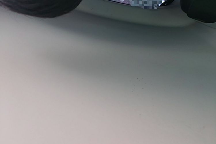 Used Roewe Clever 2021 302km Excellence Edition Headliner