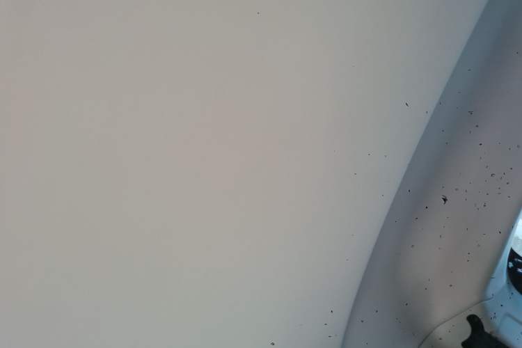 Used Roewe Clever 2021 302km Excellence Edition Headliner