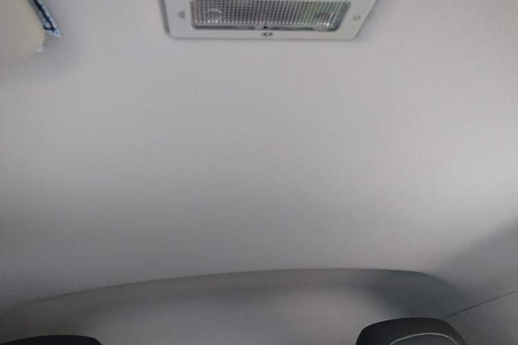 Used Roewe Clever 2021 302km Excellence Edition Headliner