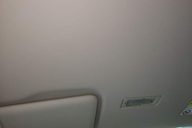 Used Roewe Clever 2021 302km Excellence Edition Headliner