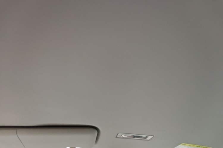 Used Roewe Clever 2021 302km Excellence Edition Headliner