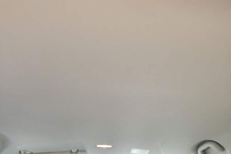 Used Roewe Clever 2021 302km All-Round Version Headliner