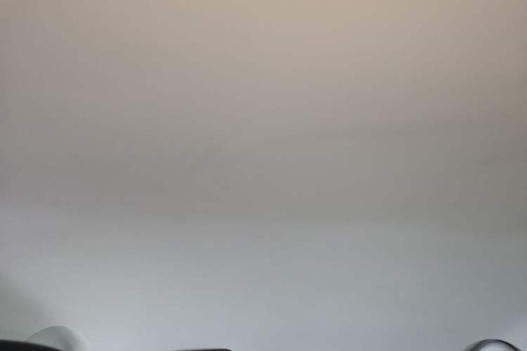 Used Roewe Clever 2021 302km Excellence Edition Headliner