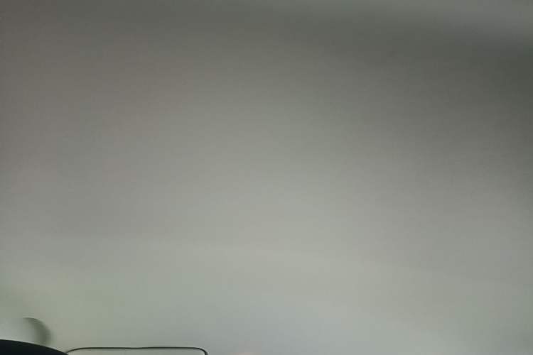 Used Roewe Clever 2021 302km Excellence Edition Headliner