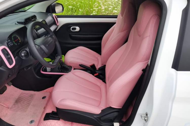 Used Roewe Clever 2021 302 km New Four-Seater Super-Efficient Version Left Front Seat