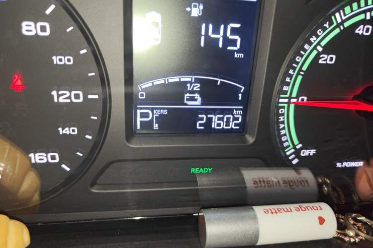Used Roewe Clever 2021 302 km New Four-Seater Super-Efficient Version Odometer Close Up