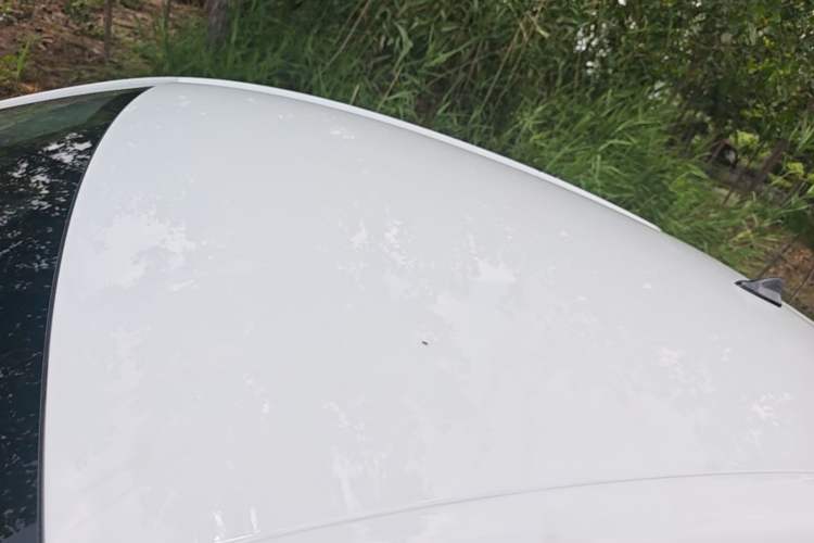 Used Roewe Clever 2021 302km All-Round Version Roof