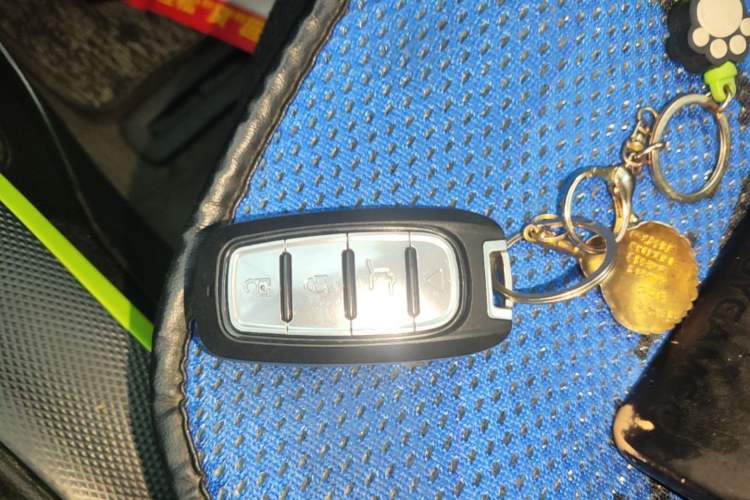 Used Roewe Clever 2021 302km All-Round Version Vehicle Key