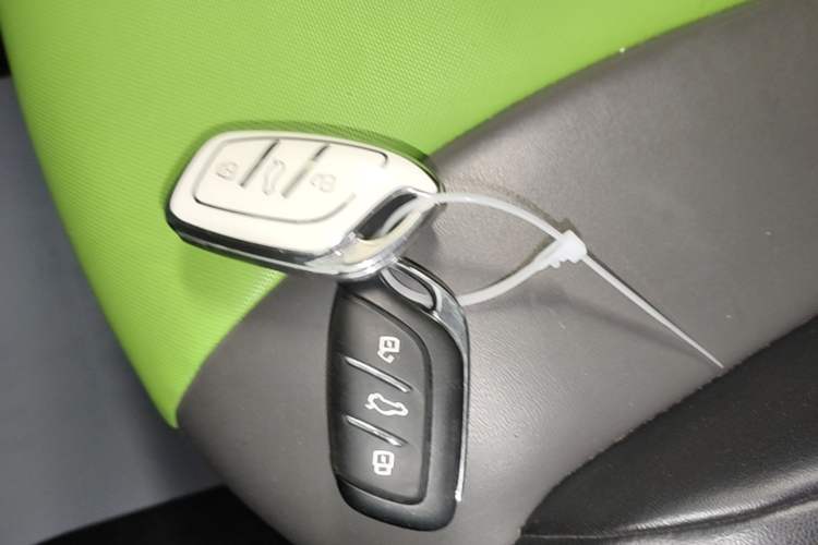 Used Roewe Clever 2021 302 km New Four-Seater Super-Efficient Version Vehicle Key
