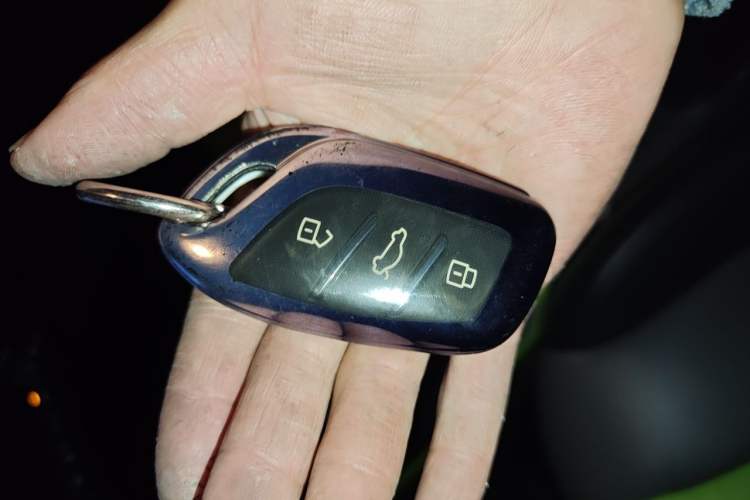 Used Roewe Clever 2021 302km Excellence Edition Vehicle Key
