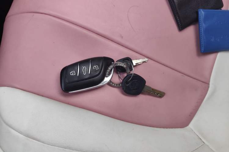 Used Roewe Clever 2021 302km Excellence Edition Vehicle Key