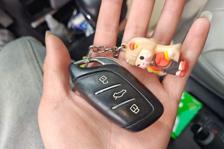 Used Roewe Clever 2021 302km Excellence Edition Vehicle Key