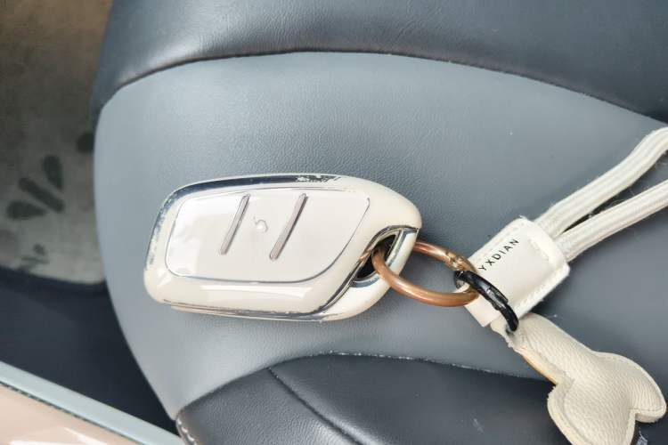 Used Roewe Clever 2022 311km QiQi BoBo Edition Vehicle Key