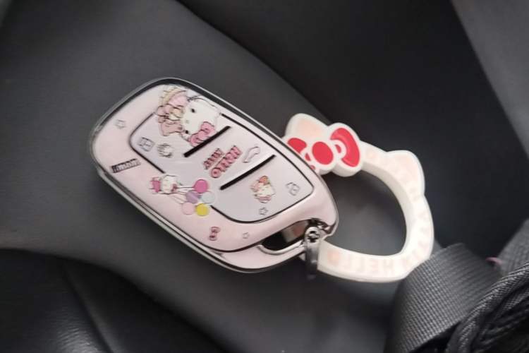 Used Roewe Clever 2022 311km QiQi BoBo Edition Vehicle Key