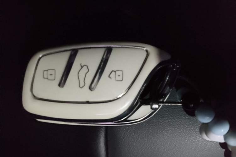 Used Roewe Clever 2022 311km QiQi BoBo Edition Vehicle Key
