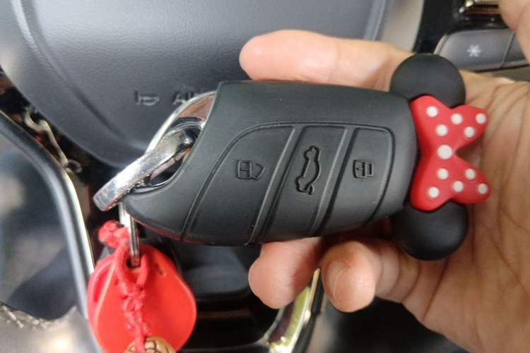 Used Roewe Clever 2022 311km QiQi BoBo Edition Vehicle Key