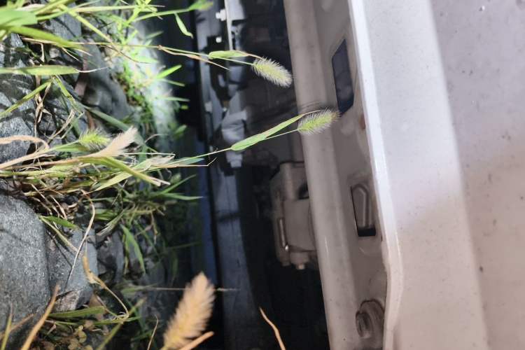 Used Roewe Clever 2022 311km QiQi BoBo Edition Chassis Front
