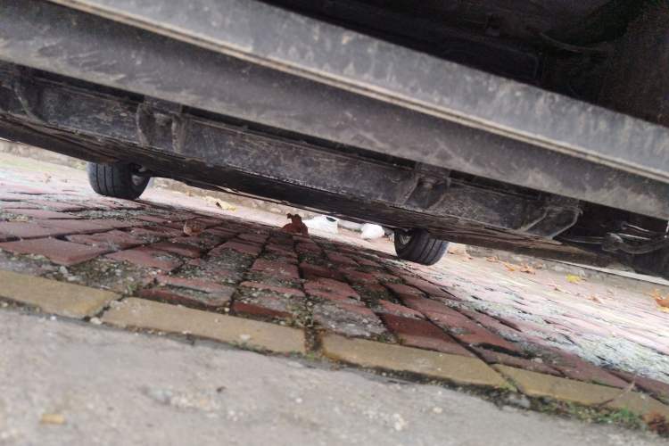 Used Roewe Clever 2022 311km QiQi BoBo Edition Chassis Rear