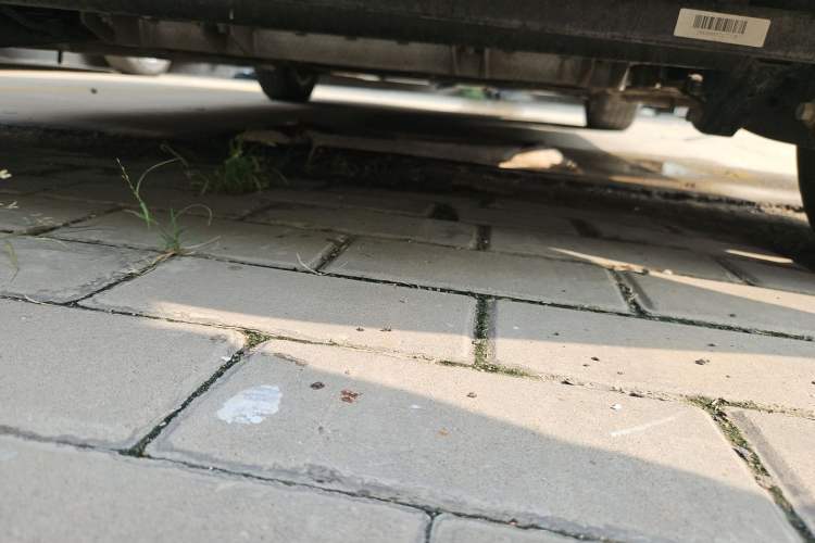 Used Roewe Clever 2022 311km QiQi BoBo Edition Chassis Rear