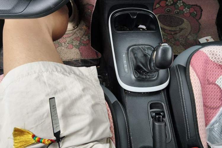Used Roewe Clever 2022 311km QiQi BoBo Edition Gear Lever