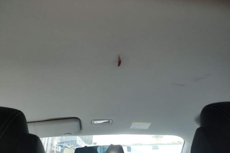 Used Roewe Clever 2022 311km QiQi BoBo Edition Headliner