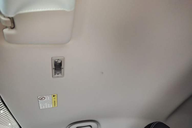 Used Roewe Clever 2022 311km QiQi BoBo Edition Headliner