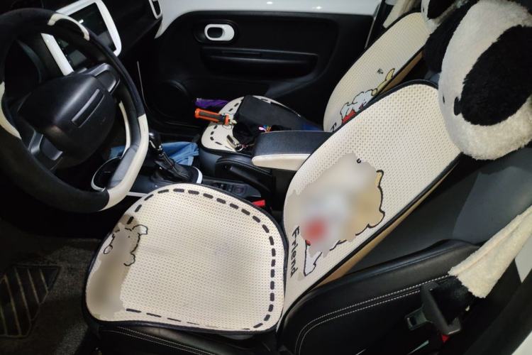 Used Roewe Clever 2022 311km QiQi BoBo Edition Left Front Seat