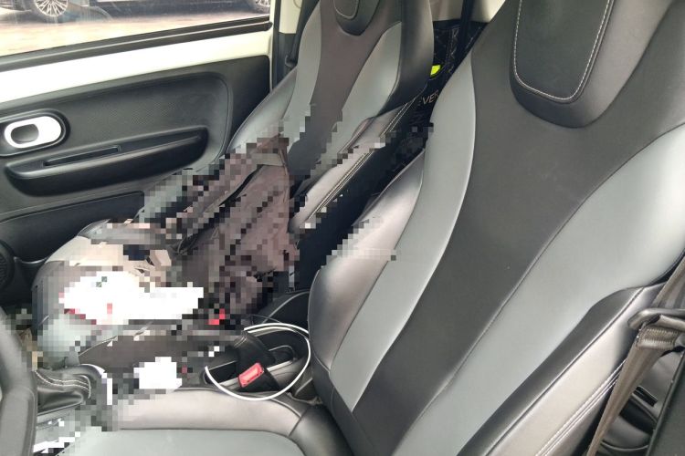 Used Roewe Clever 2022 311km QiQi BoBo Edition Left Front Seat