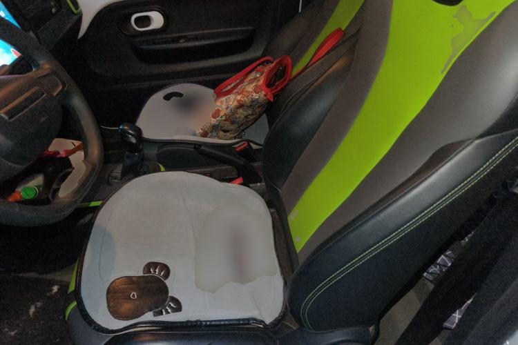 Used Roewe Clever 2022 311km QiQi BoBo Edition Left Front Seat