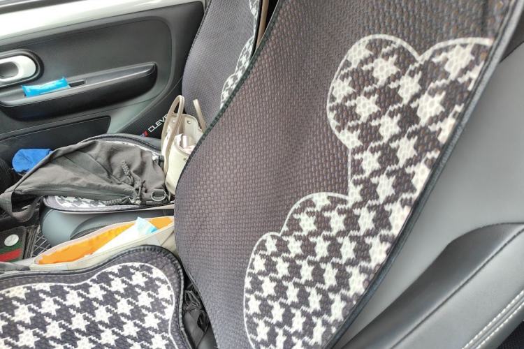 Used Roewe Clever 2022 311km QiQi BoBo Edition Left Rear Seat