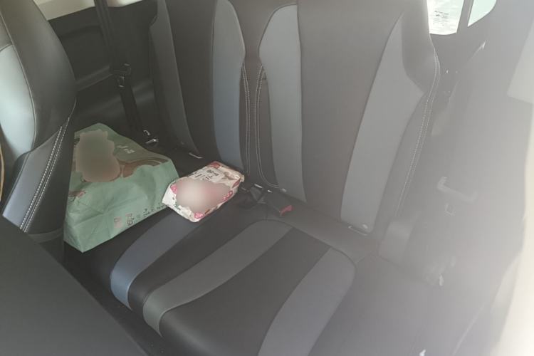 Used Roewe Clever 2022 311km QiQi BoBo Edition Left Rear Seat