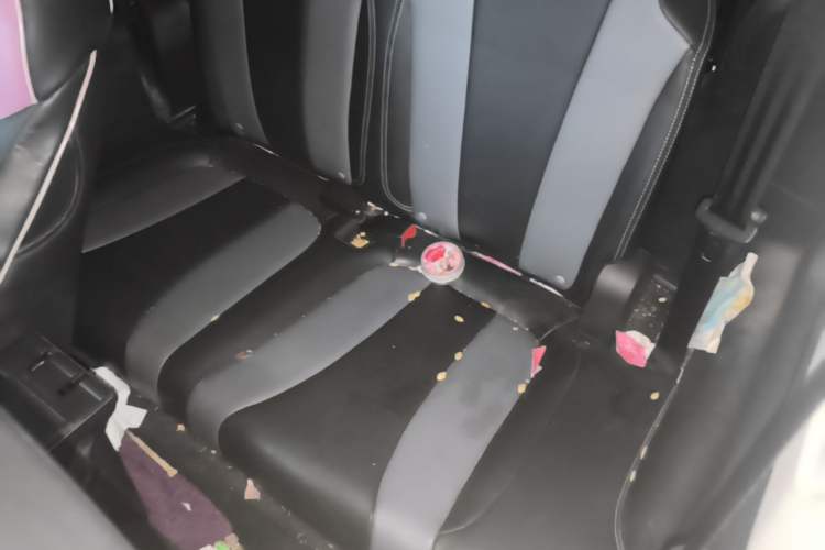 Used Roewe Clever 2022 311km QiQi BoBo Edition Left Rear Seat
