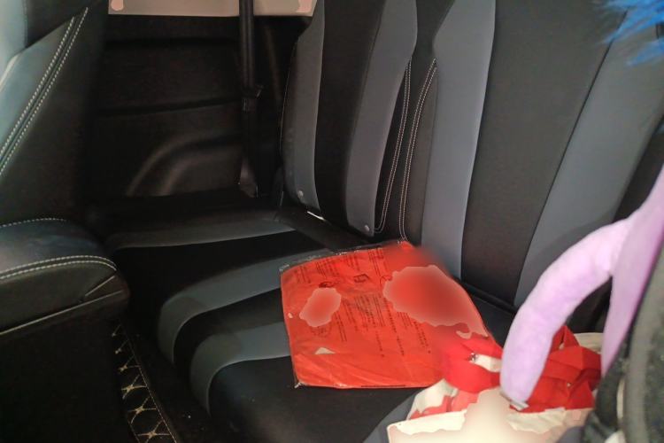 Used Roewe Clever 2022 311km QiQi BoBo Edition Left Rear Seat