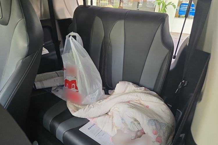 Used Roewe Clever 2022 311km QiQi BoBo Edition Left Rear Seat