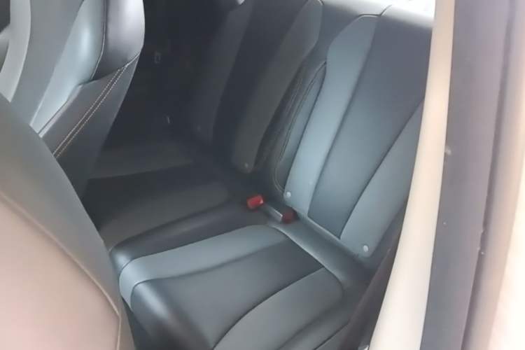 Used Roewe Clever 2022 311km QiQi BoBo Edition Left Rear Seat