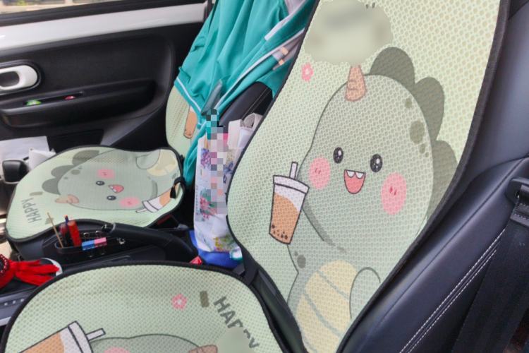 Used Roewe Clever 2022 311km QiQi BoBo Edition Left Rear Seat