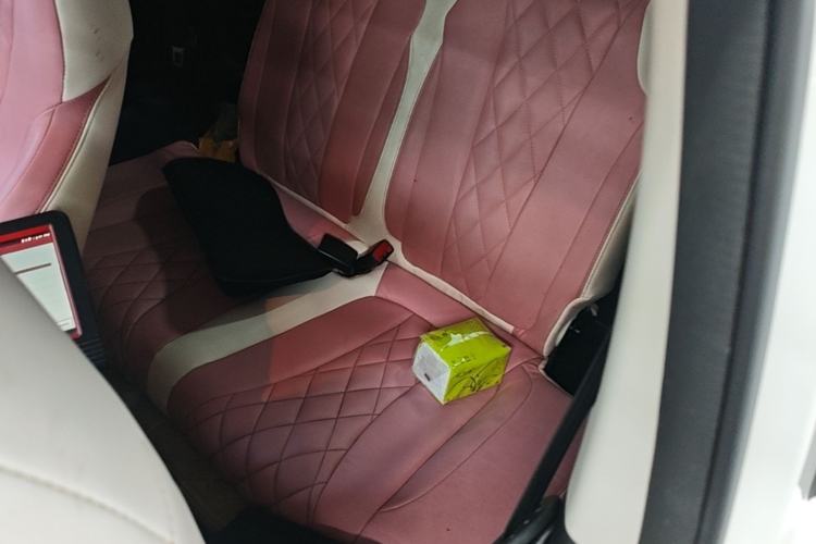 Used Roewe Clever 2022 311km QiQi BoBo Edition Left Rear Seat