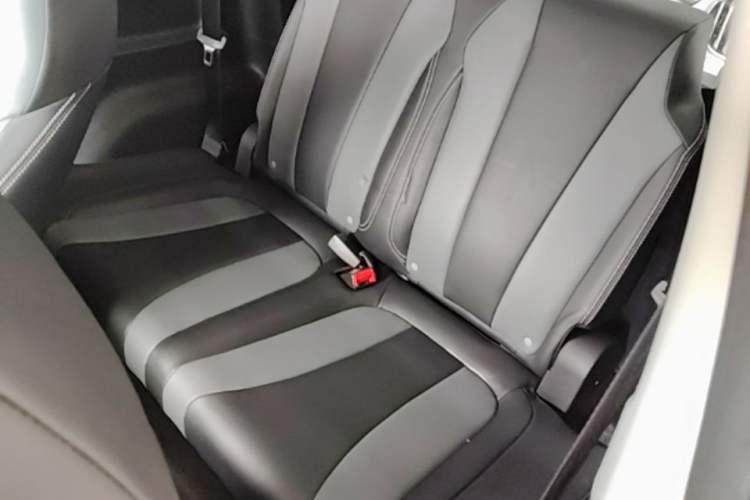 Used Roewe Clever 2022 311km QiQi BoBo Edition Left Rear Seat