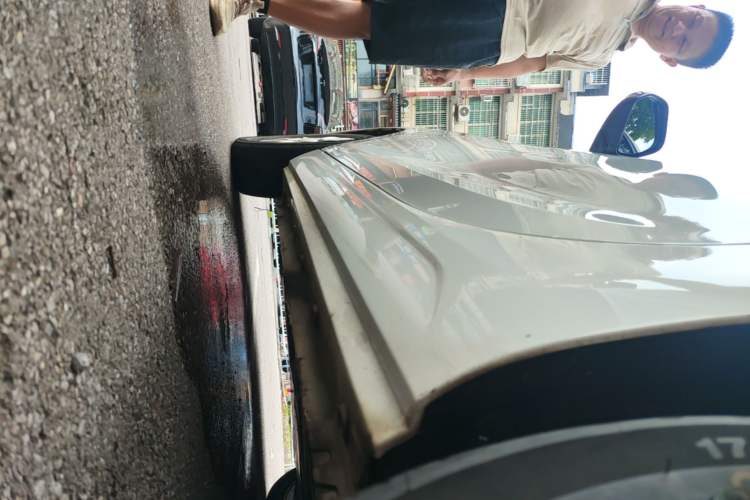 Used Roewe Clever 2022 311km QiQi BoBo Edition Left Side Sill