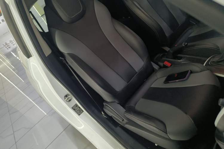 Used Roewe Clever 2022 311km QiQi BoBo Edition Right Front Seat