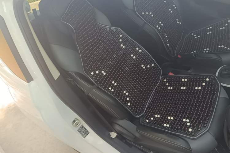 Used Roewe Clever 2022 311km QiQi BoBo Edition Right Front Seat