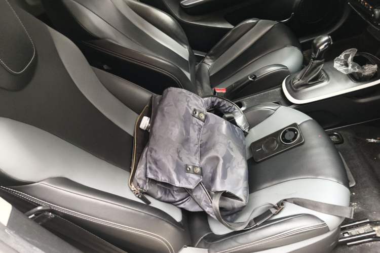 Used Roewe Clever 2022 311km QiQi BoBo Edition Right Front Seat