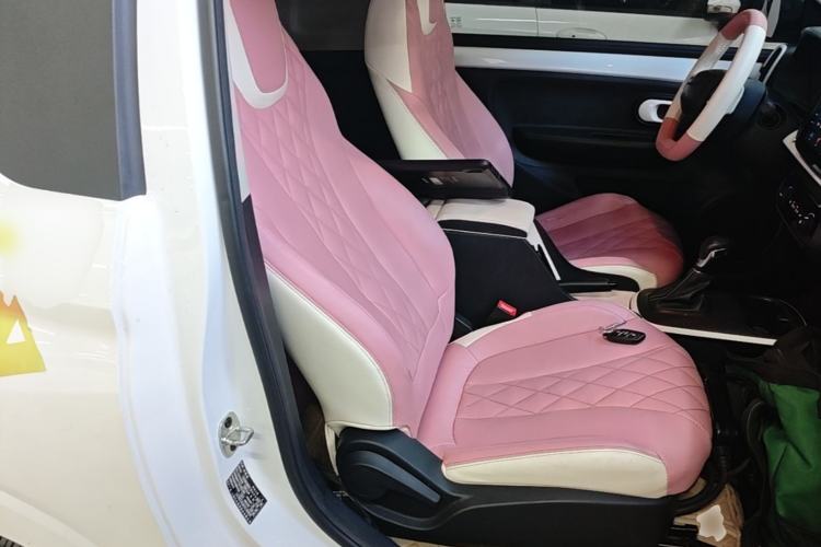Used Roewe Clever 2022 311km QiQi BoBo Edition Right Front Seat
