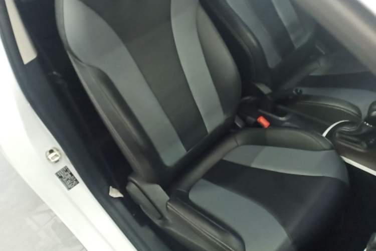 Used Roewe Clever 2022 311km QiQi BoBo Edition Right Front Seat