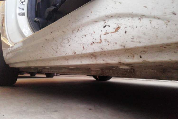 Used Roewe Clever 2022 311km QiQi BoBo Edition Right Side Sill