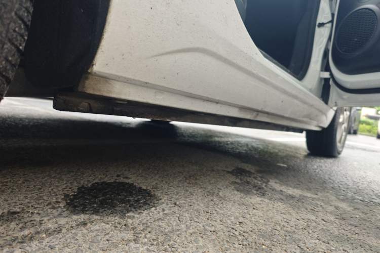 Used Roewe Clever 2022 311km QiQi BoBo Edition Right Side Sill