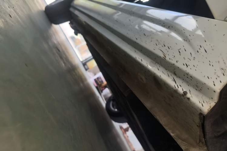 Used Roewe Clever 2022 311km QiQi BoBo Edition Right Side Sill