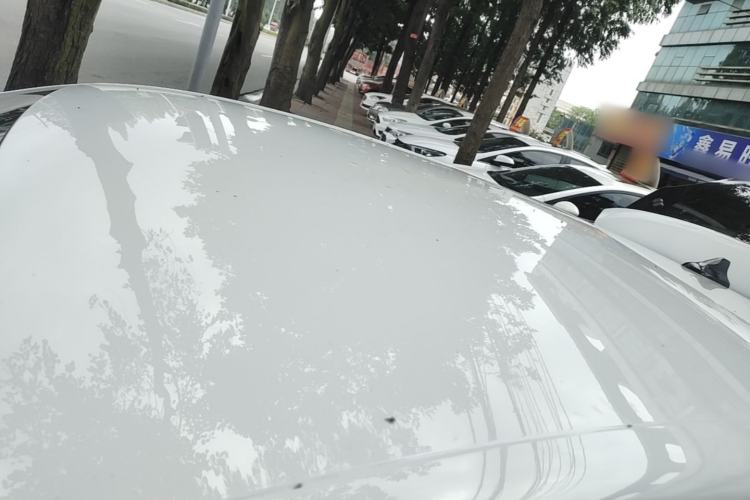 Used Roewe Clever 2022 311km QiQi BoBo Edition Roof