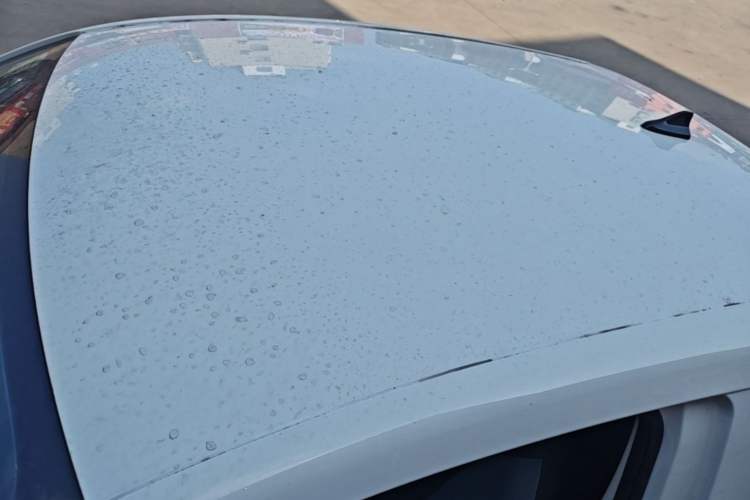 Used Roewe Clever 2022 311km QiQi BoBo Edition Roof
